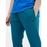 Dresowe joggery męskie 4F 4F - 4 buty zapaśnicze ubrania kostiumy
