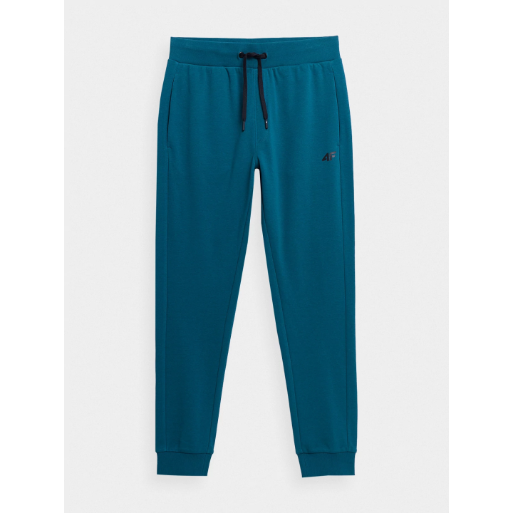 Dresowe joggery męskie 4F 4F - 6 buty zapaśnicze ubrania kostiumy