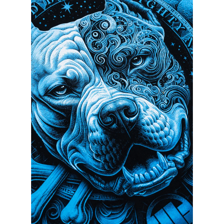 Koszulka męska - PITBULL WORLD CZARNA PIT BULL WEST COAST - 3 buty zapaśnicze ubrania kostiumy