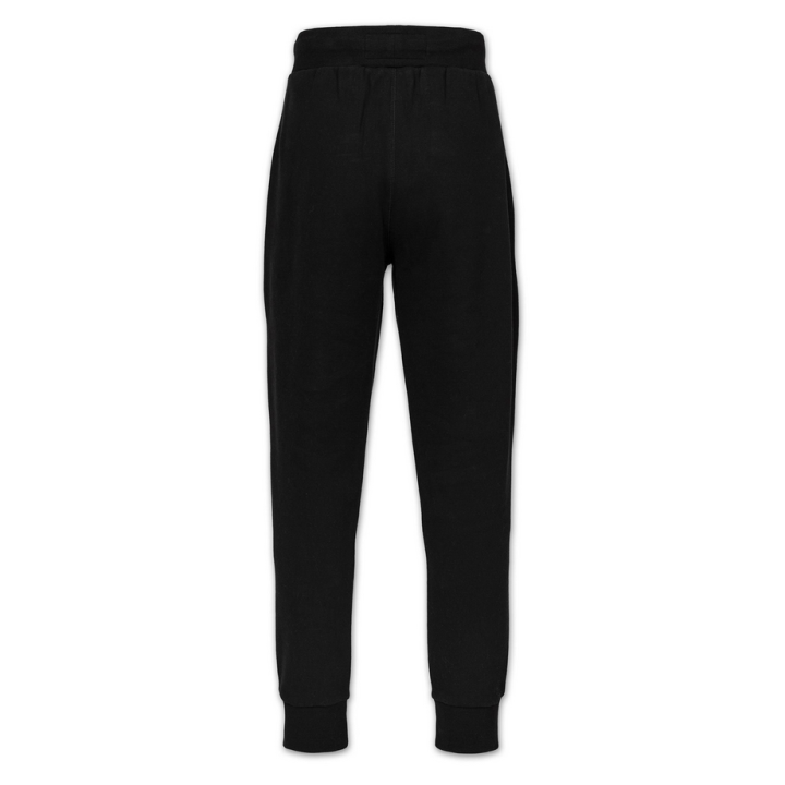 Sweatpants SMALL LOGO HD PIT BULL PIT BULL WEST COAST - 6 buty zapaśnicze ubrania kostiumy