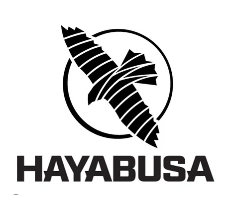 Hayabusa